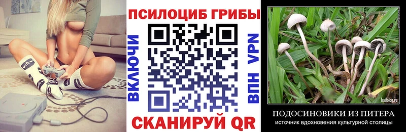 продажа наркотиков  дарк нет Telegram  Псилоцибиновые грибы мицелий  Венёв 